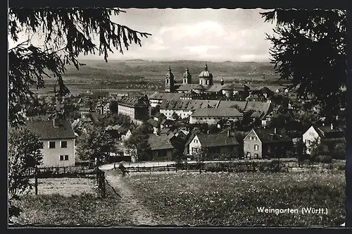 AK Weingarten in Württ., Gesamtansicht
