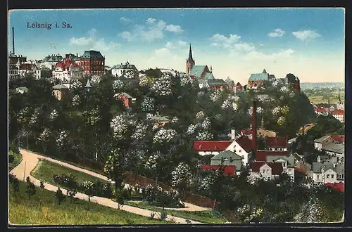 AK Leisnig i. Sa., Panorama