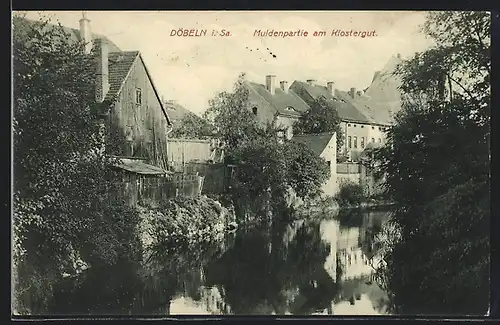 AK Döbeln i. Sa., Muldenpartie am Klostergut