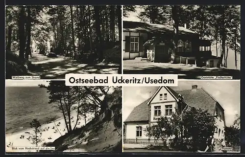 AK Ückeritz /Usedom, Gasthaus Fischerhütte, Waldweg zum Strand