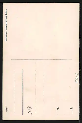 AK Triberg, Totalansicht vom Hohnen