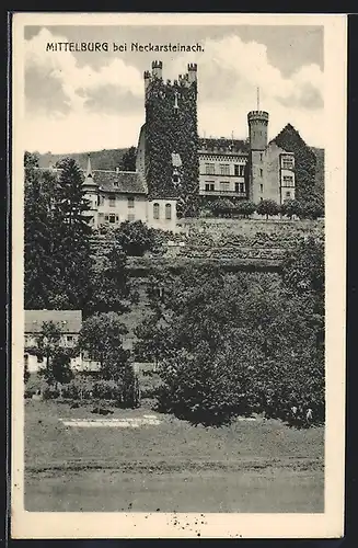 AK Neckarsteinach, Mittelburg