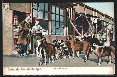 AK Türkei, Salut de l`Orient, Les chiens de rue