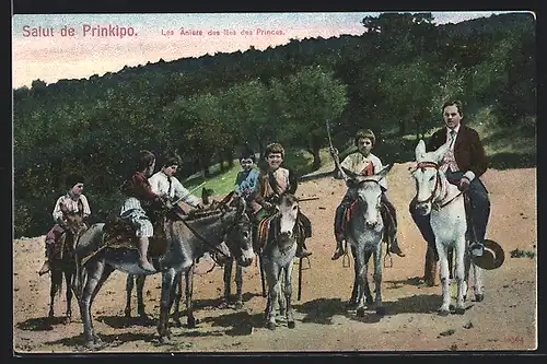 AK Prinkipo, Les Aniers des Iles des Princes