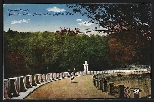 AK Constantinople, Bend du Sultan Mahmoud a Bagtche-Keuy