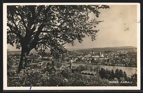 AK Aarau, Gesamtansicht