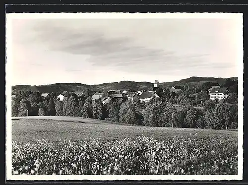 AK Wildberg, Blick über Sommerwiesen auf den Ort