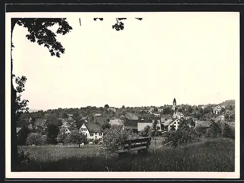 AK Russikon (Zch.), Blick über Streuobstwiesen auf den Ort