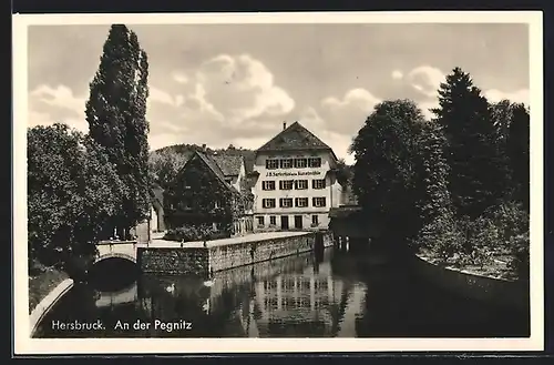 AK Hersbruck, Partie an der Pegnitz