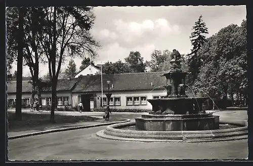 AK Kaiserslautern /Pfalz, Waldschlösschen mit Brunnen