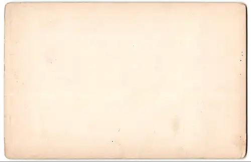 Fotografie Weidendes Vieh, nach Gemälde von V. d. Velde