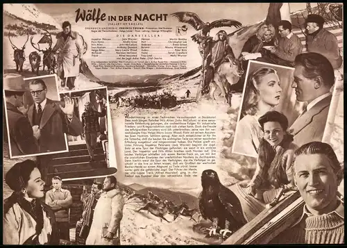 Filmprogramm IFB Nr. 1587, Wölfe in der Nacht, Jack Warner, Nadia Gray, John McCallum, Regie Terence Young