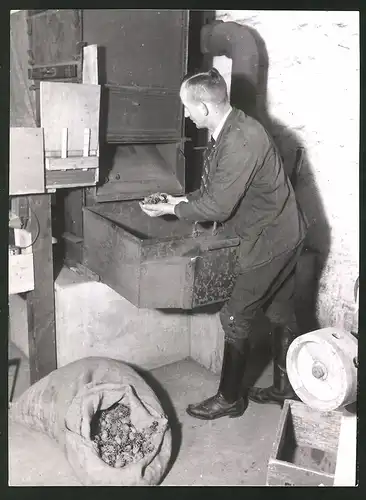 Fotografie Fabrikarbeiter bedient Maschine zur Erhitzung von Kiefernzapfen, Samen löst sich durch Hitze aus der Darre