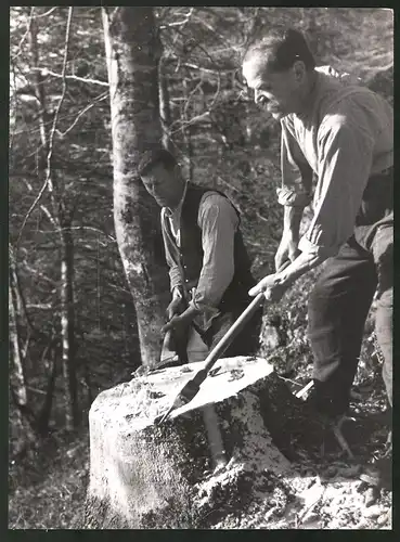 Fotografie Oberbayerische Holzfäller mit ihren Äxten bei der Arbeit