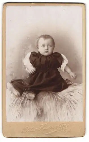 Fotografie Atelier Hammesfahr, Ohligs, Portrait niedliches Mädchen im Kleidchen auf Fell sitzend