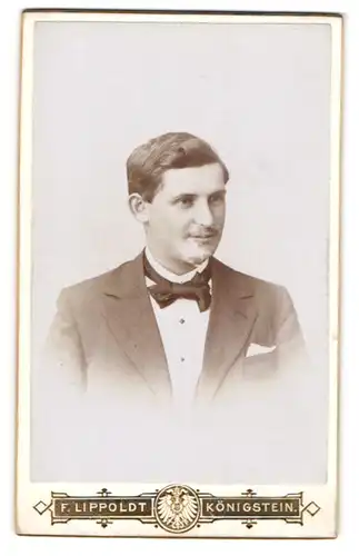 Fotografie F. Lippoldt, Königstein, Portrait junger Herr im Anzug mit Fliege und Einstecktuch