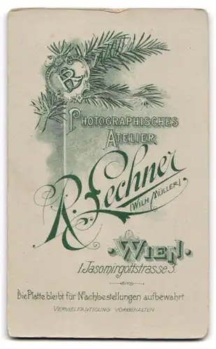 Fotografie R. Lechner, Wien, Portrait junger Herr mit Oberlippenbart in Anzug mit Krawatte