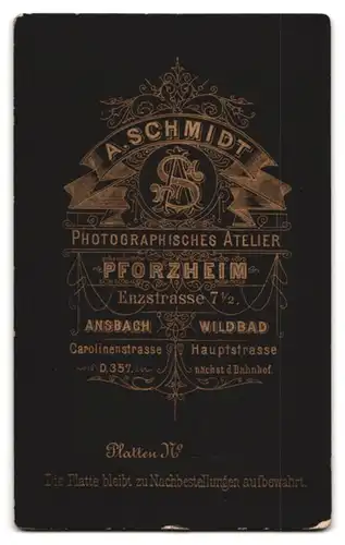 Fotografie A. Schmidt, Pforzheim, Portrait junger Herr mit Bart