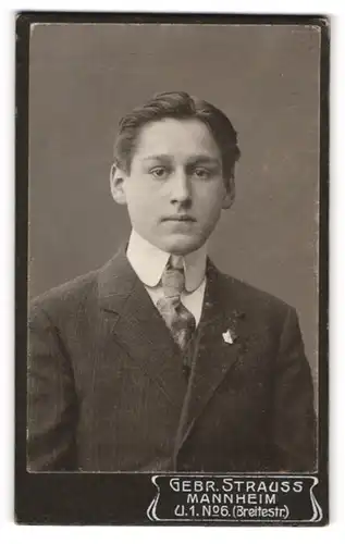 Fotografie Gebr. Strauss, Mannheim, Portrait junger Herr in Anzug mit Krawatte