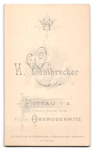 Fotografie H. Walbrecker, Zittau i / S., Portrait bürgerliche Dame im hübschen Kleid