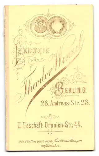 Fotografie Theodor Wenzel, Berlin-O, Portrait junger Herr im Anzug mit Fliege und Vollbart