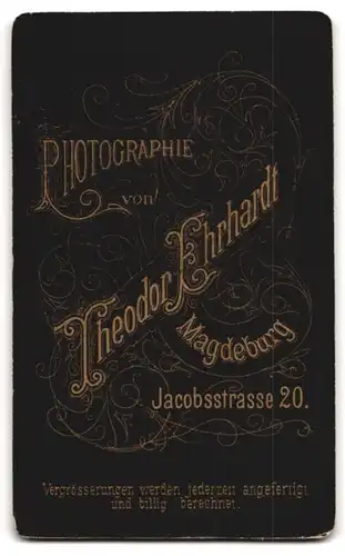 Fotografie Theodor Ehrhardt, Magdeburg, Portrait mit grosser Brosche am Kleid