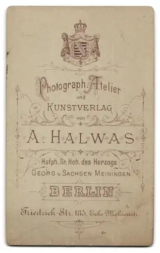 Fotografie Adolf Halwas, Berlin, Portrait älterer Herr mit Vollbart im Jacket mit Querbinder