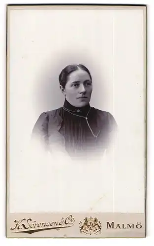 Fotografie K. Sörensen & Co., Malmö, Portrait Dame mit zusammengebundenem Haar