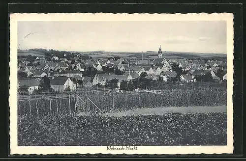 AK Wolnzach-Markt, Panoramablick auf den Ort