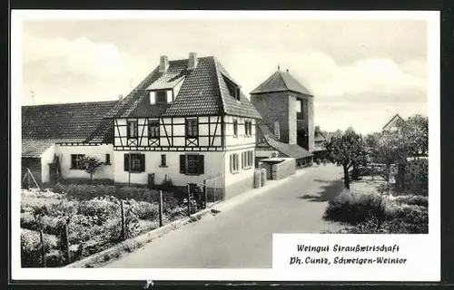 AK Schweigen, Gasthof Weingut Strausswirtschaft am Weintor, Inh. Ph. Cuntz