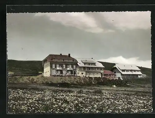 AK Belchen /südl. Schwarzw., Blick zum Belchen-Hotel