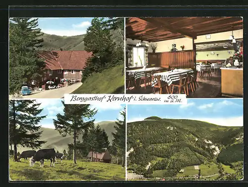 AK Seebach i. Schwarzwald, Vier Ansichten vom Berggasthof Kernhof