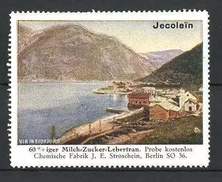 Reklamemarke Eidfjord, Ortspartie am Seeufer, Milch-Zucker-Lebertran von J. E. Stroschein