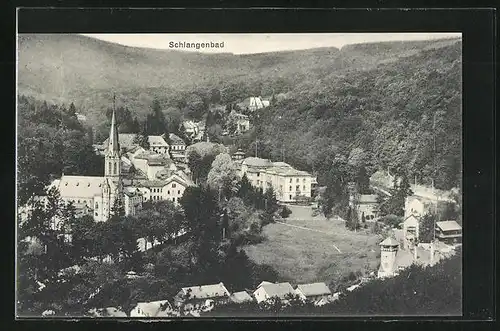 AK Schlangenbad, Ortsansicht aus der Vogelschau