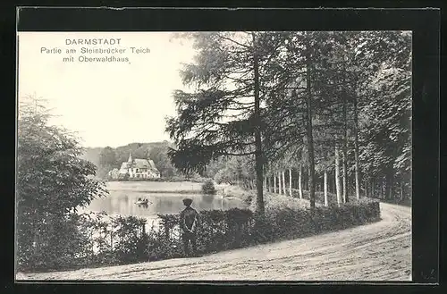 AK Darmstadt, Partie am Steinbrücker Teich mit Oberwaldhaus