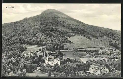 AK Königswinter, Hotel Sophienhof am Oelberg