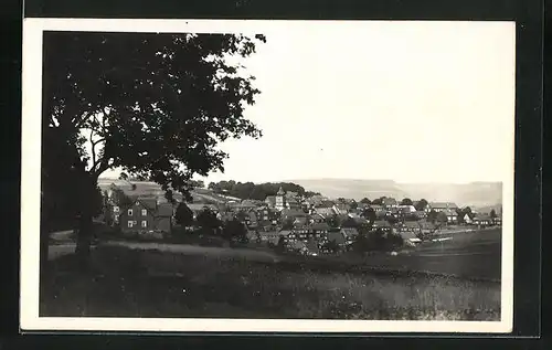 AK Schnett / Thüringer Wald, Blick zum Ort am Abend