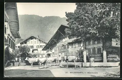 AK Wilderswyl, Bäerenplatz mit Rindern
