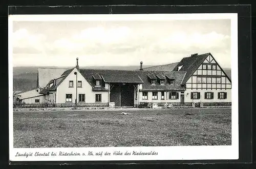 AK Rüdesheim a. Rh., Landgut Ebental