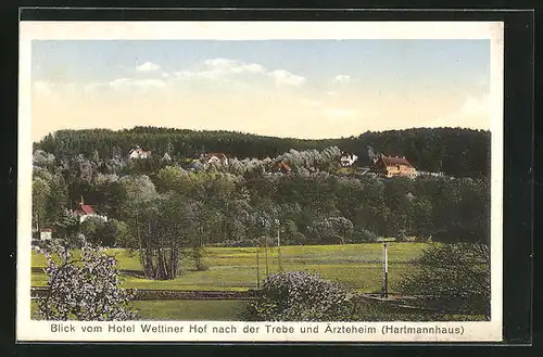 AK Bad Berka, Blick vom Hotel Wettiner Hof nach der Trebe und Ärzteheim Hartmannshaus