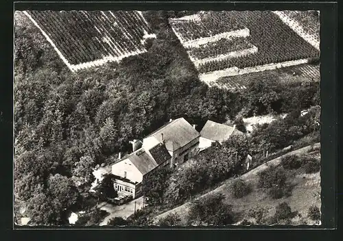 AK Aulhausen am Rh., Gasthaus und Pension Zur Waldmühle aus der Vogelschau