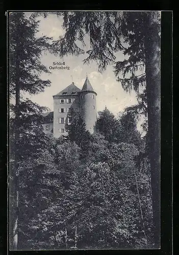 AK Guttenberg, Schloss