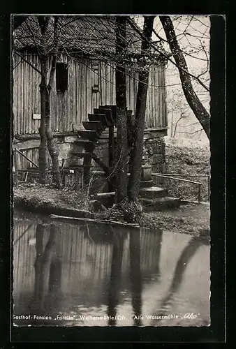 AK Weihersmühle /Ofr., Gasthof und Pension Forelle
