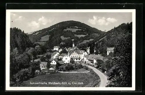 AK Waldbach, Gesamtansicht der Ortschaft