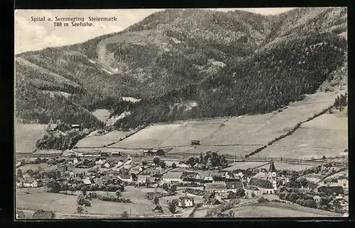 AK Spital a. Semmering, Panoramablick aus der Vogelschau