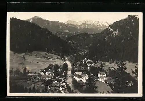 AK Mürzsteg, Totalansicht mit Gebirgspanorama