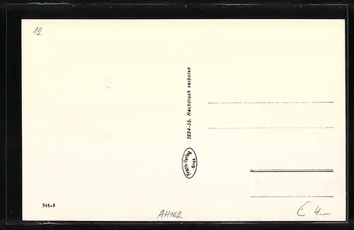 AK Mürzzuschlag, Totalansicht mit Schneealpe