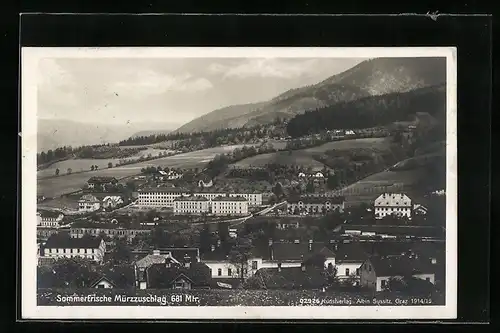 AK Mürzzuschlag, Totale von der Bergwiese aus gesehen