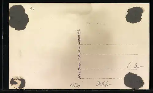 AK Leoben, Blick vom Münzenberg