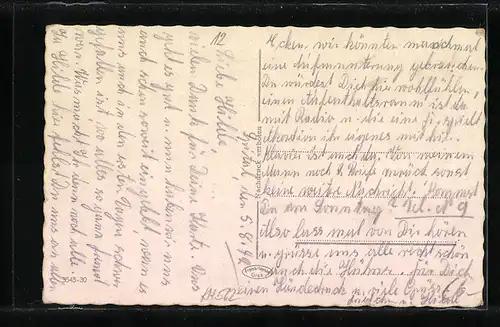 AK Spital am Semmering, Panoramablick aus der Vogelschau